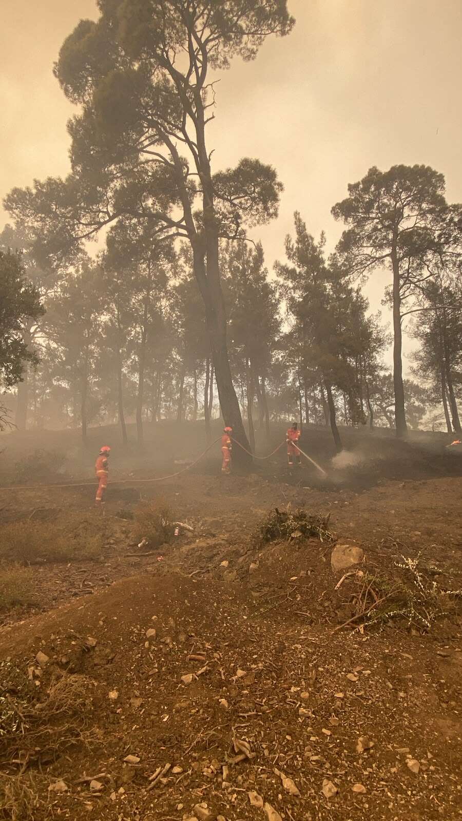 Muğla Büyükşehir Belediyesi Seydikemer Yangınında Tüm Birimleriyle Sahada 6